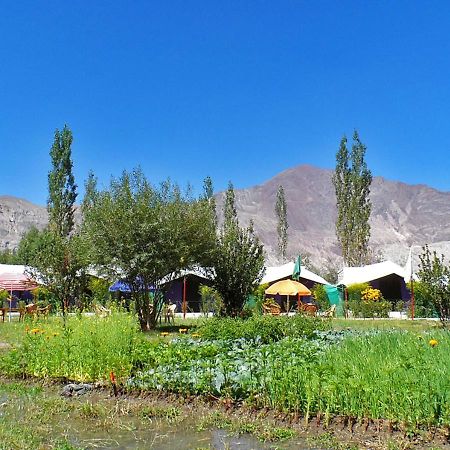 Tiger Camp Nubra Hotel Luaran gambar