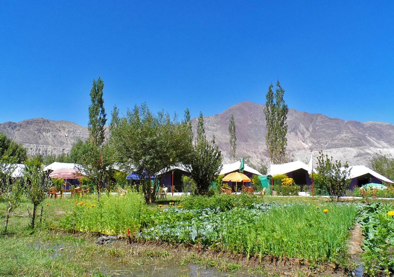 Tiger Camp Nubra Hotel Luaran gambar