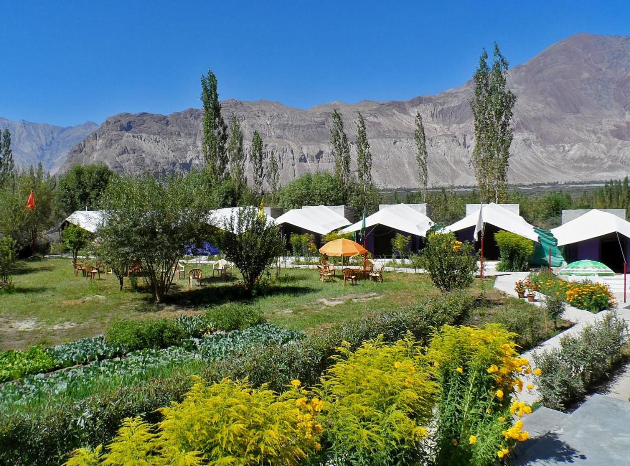 Tiger Camp Nubra Hotel Luaran gambar