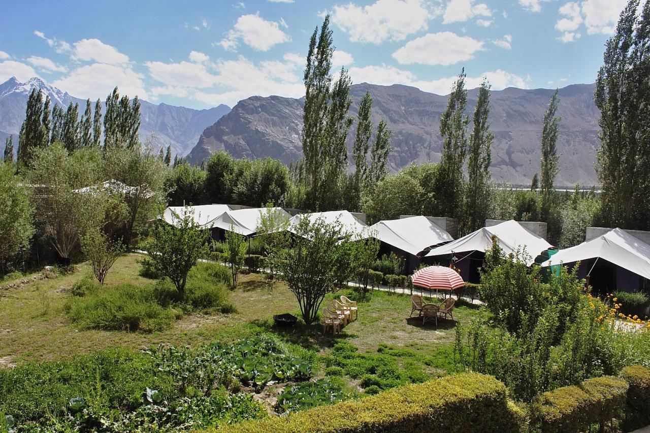 Tiger Camp Nubra Hotel Luaran gambar